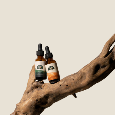 Fungtion Mushroom Elixir