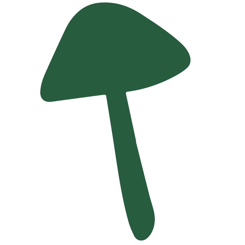 sustainable mushroom products