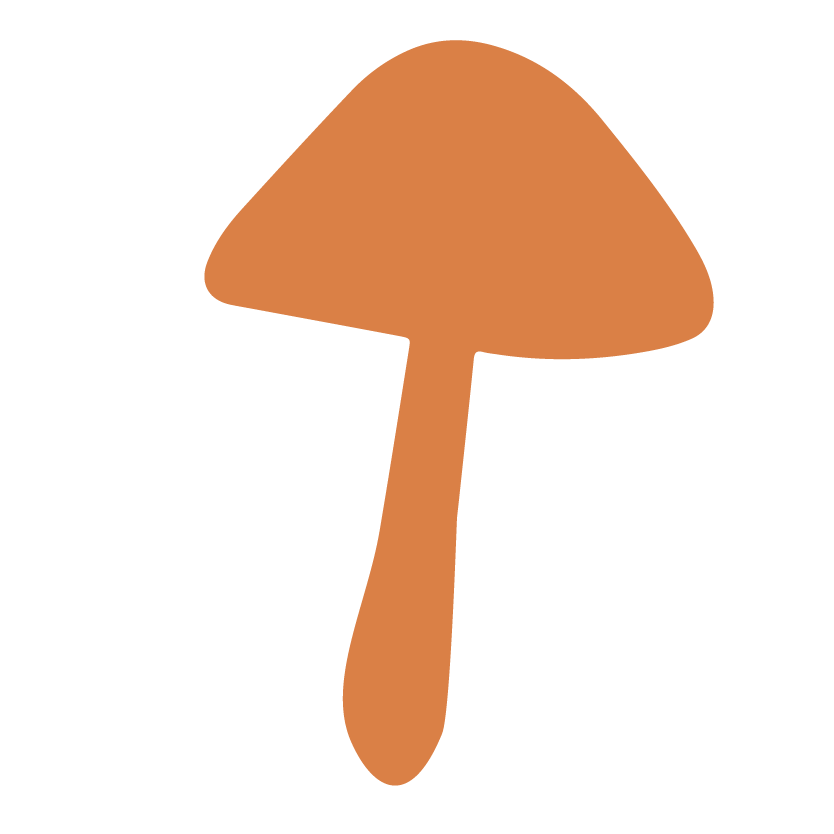 organic Functional Mushroom Formulas